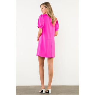 Short Sleeve V-Neck Dress